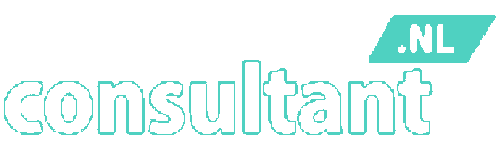 Consultant.nl