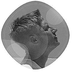 Tom Sluiter