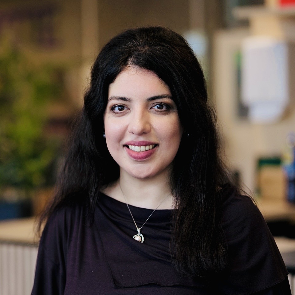 Sahar Mokamel