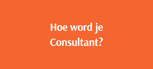 Hoe word je Consultant?